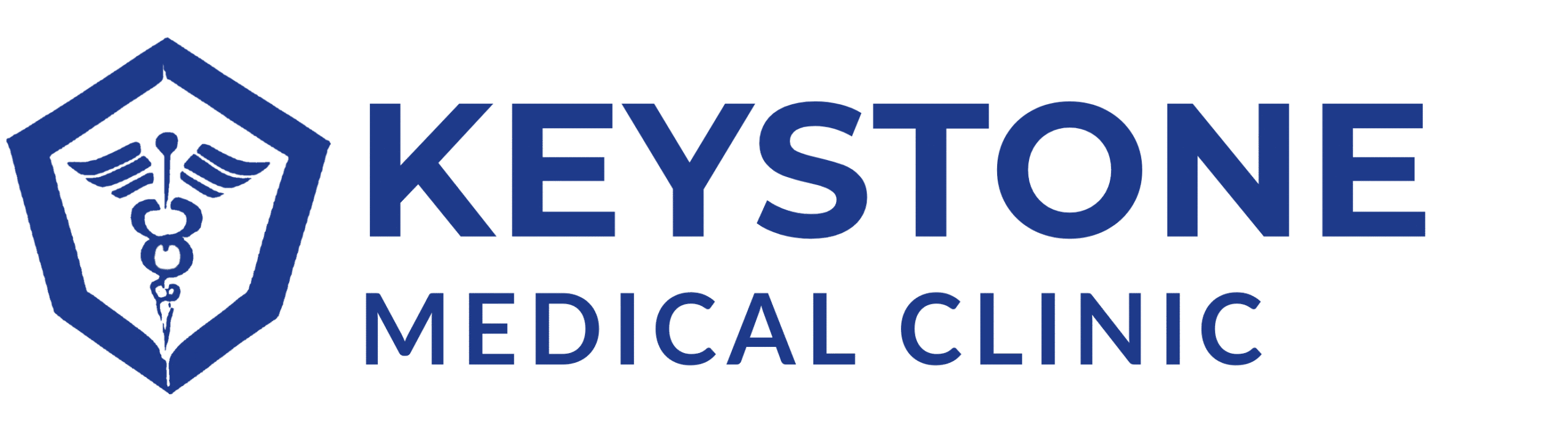 Website Logo - New - #1e3a8a